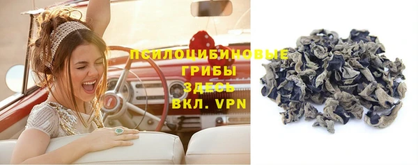 твердый Алексеевка