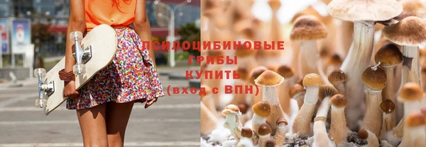 твердый Алексеевка