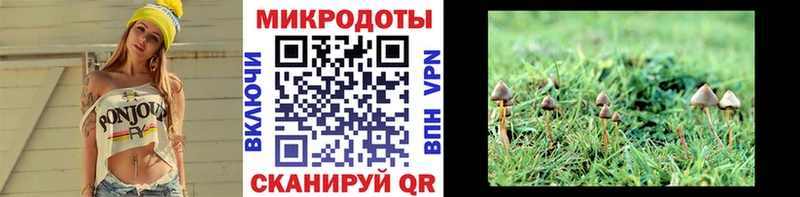 Псилоцибиновые грибы Psilocybine cubensis где купить Данилов